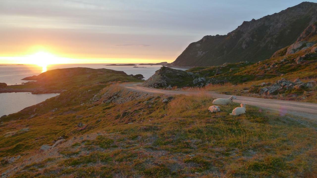 Lovely 3 Rooms Apartment For Holiday In Nyksund エクステリア 写真