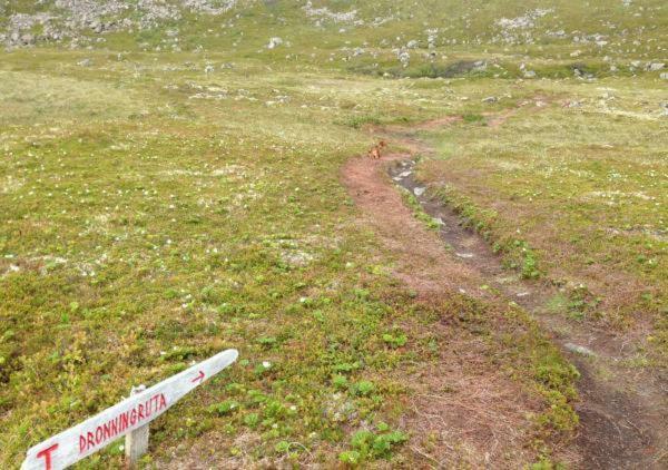 Lovely 3 Rooms Apartment For Holiday In Nyksund エクステリア 写真